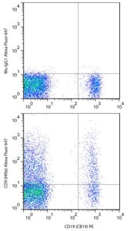 CD19 Antibody (CB19), PE, Novus Biologicals 0.1 mL | Buy Online | Novus Biologicals | Fisher Scientific